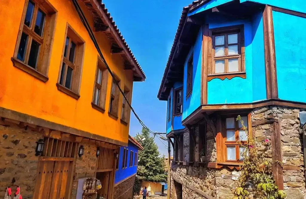 Bursa Cumalıkızık  Mudanya Gölyazı Turu