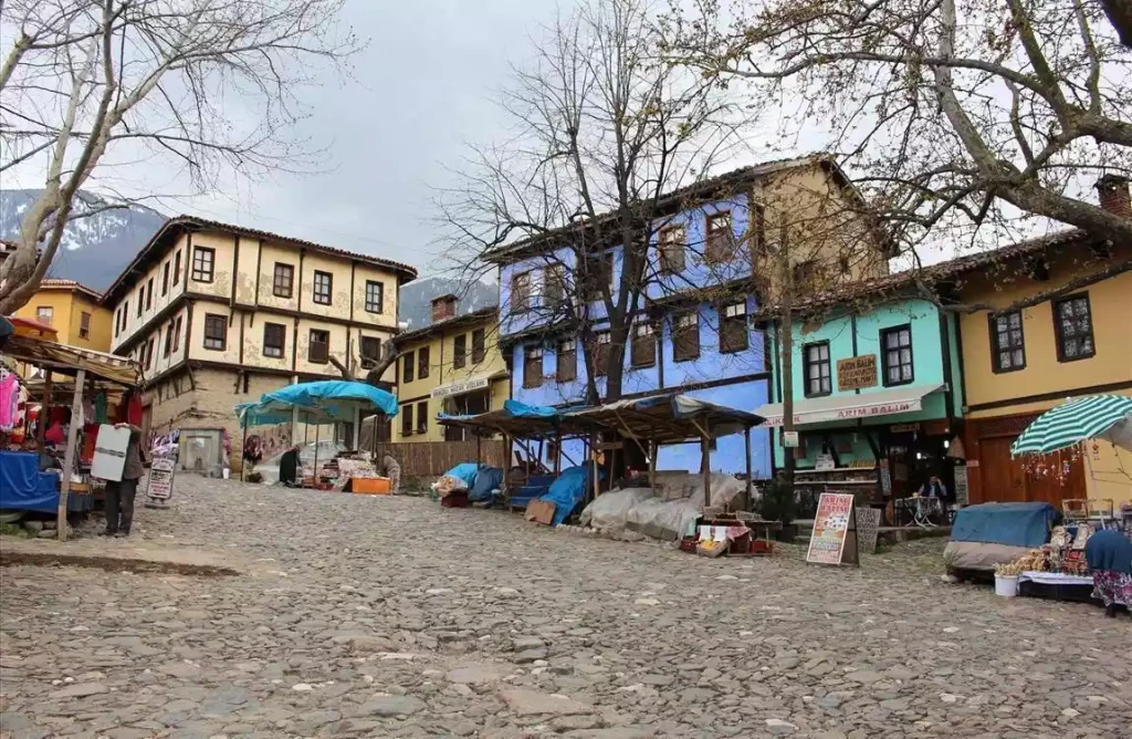 Bursa Cumalıkızık  Mudanya Gölyazı Turu