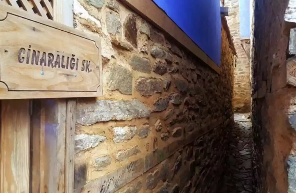 Bursa Cumalıkızık  Mudanya Gölyazı Turu