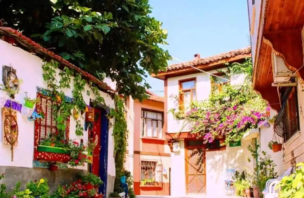 Bursa Cumalıkızık  Mudanya Gölyazı Turu