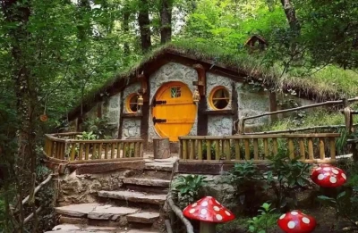 Sapanca Maşukiye Ormanya Turu