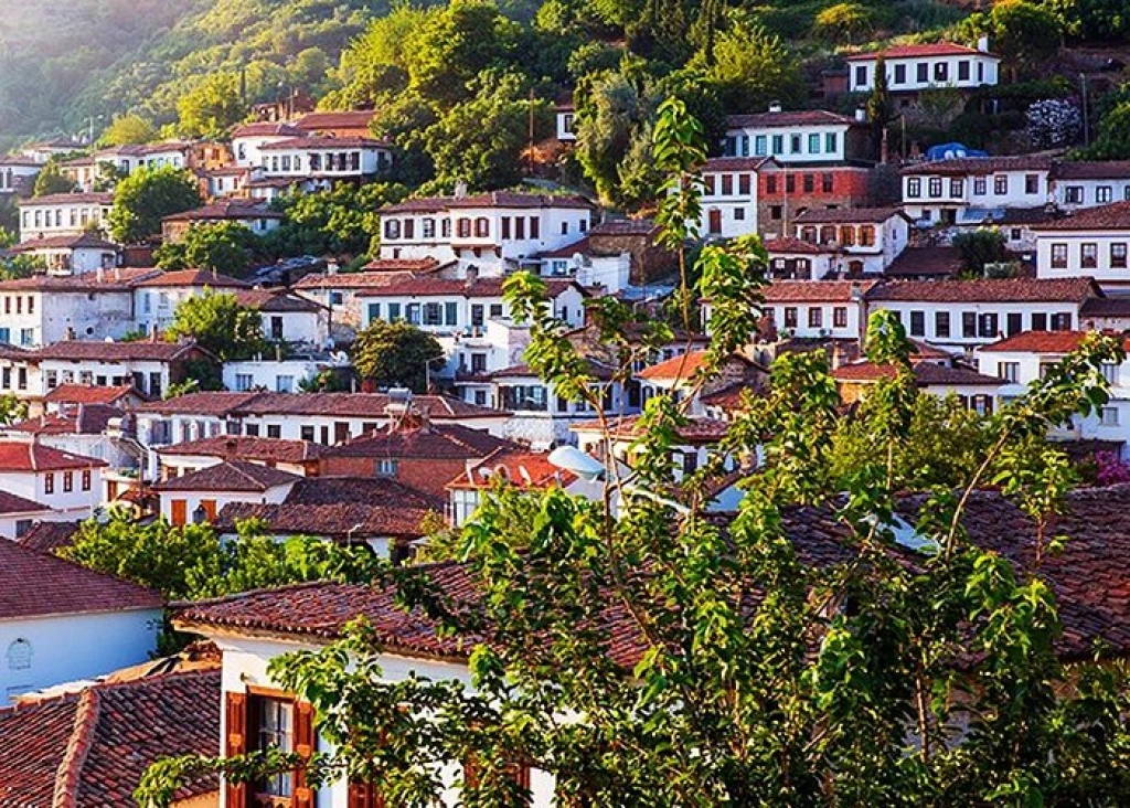 Private Ephesus and Sirince Village Tour from Kusadasi Port and Lunch