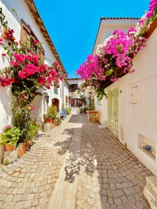 TOUR DE SIĞACIK Y PUEBLOS DE ÇEŞME Y ALAÇATI