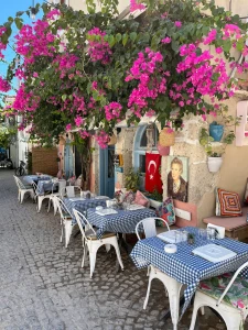 TOUR DE SIĞACIK Y PUEBLOS DE ÇEŞME Y ALAÇATI