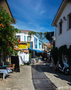 TOUR DE SIĞACIK Y PUEBLOS DE ÇEŞME Y ALAÇATI