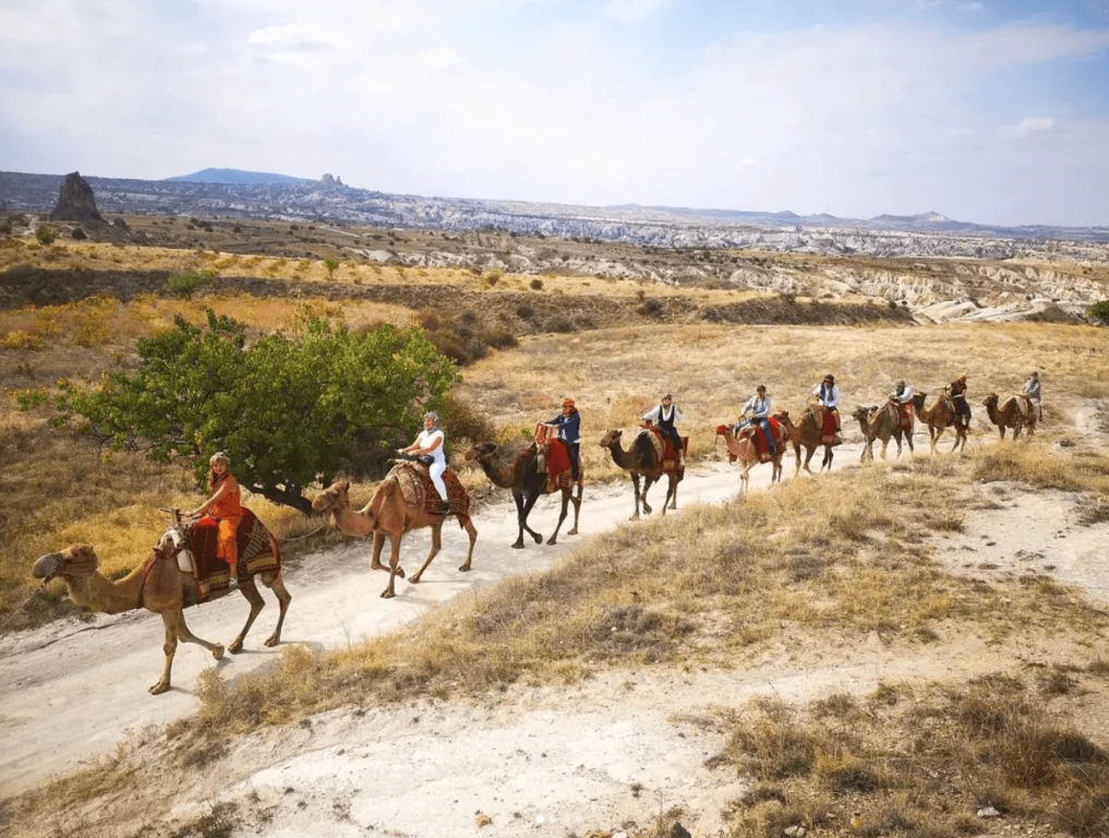 Kappadokia Kamel Tour