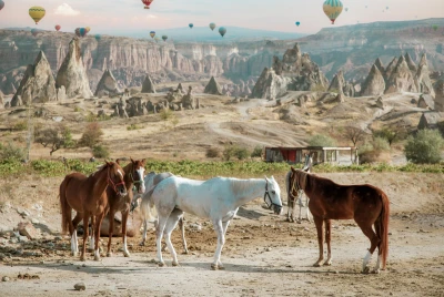 Cappadocia Horse Riding Tour ( 1 Hour )