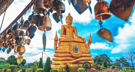 Phuket Turu (Wakacje Styczeń - Grudzień)