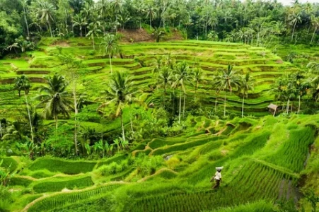 8 Gün Bali Turu