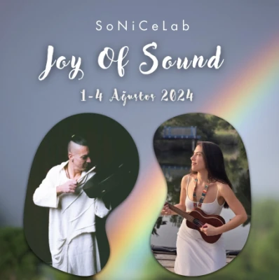 Joy Of Sound