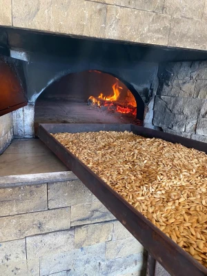 Kapadokya Kabak Çekirdeği