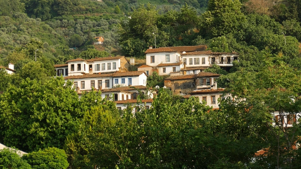 Tempat Bulan Madu yang Tenang dan Damai di Dalam Alam