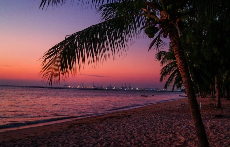 Сезон протягом року Таїланд (Бангкок - Паттайя - Пхукет)