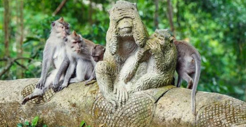 '19-28 0CAK - ESTAMBUL - DUBÁI - BALI - UBUD'