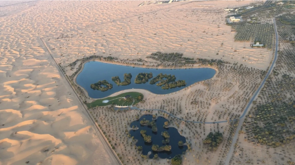 Sunrise Hot Air Balloon Ride Dubai with Falcon Show