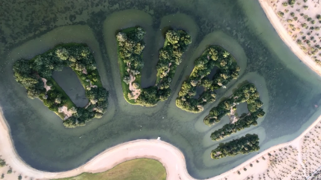 Deluxe Hot Air Balloon Dubai With Gourmet Breakfast & Camel Ride