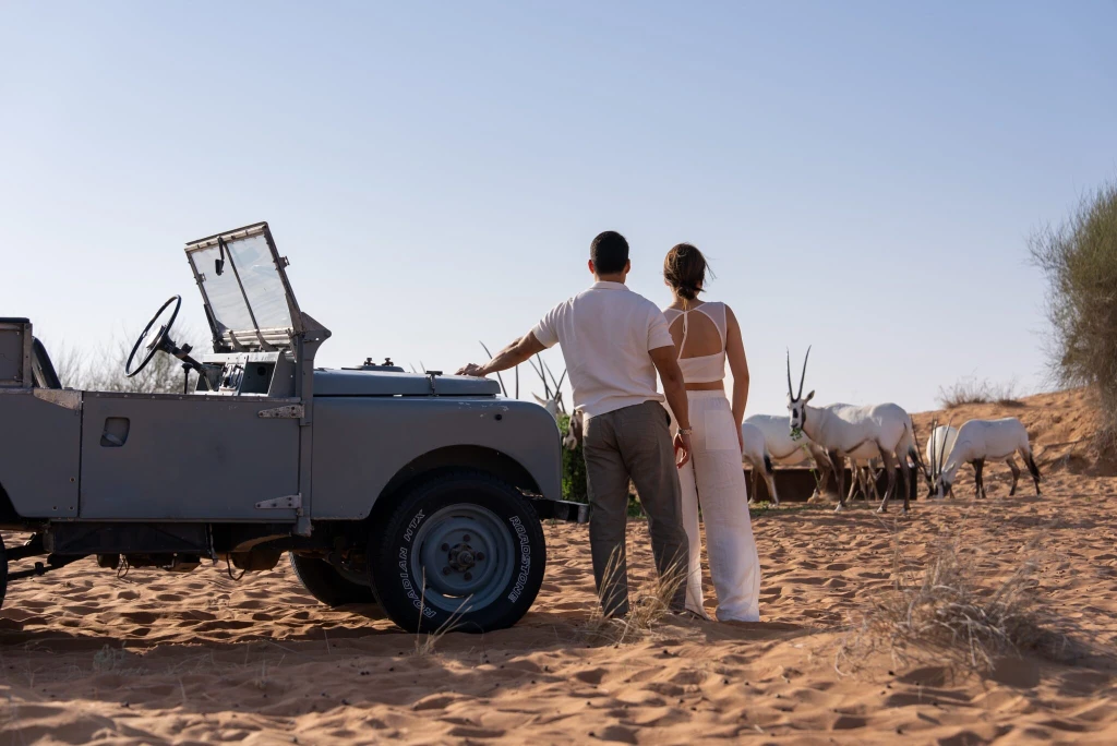 Dubai Sunrise Hot Air Balloon Tour with Falcon Show and Desert Safari