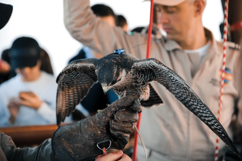 Volo in mongolfiera signature