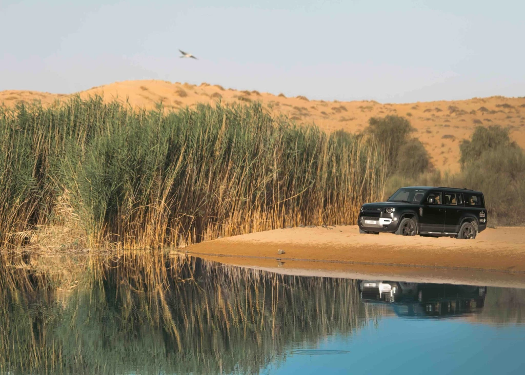 Königlicher Platin-Wüstensafari Dubai