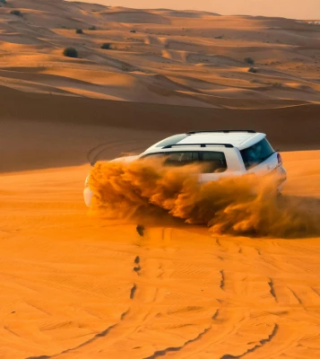 Safari