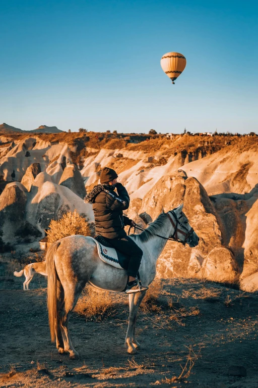 Horseback Riding Tour
