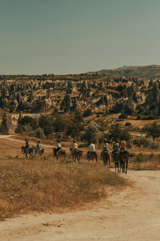 Horseback Riding Tour