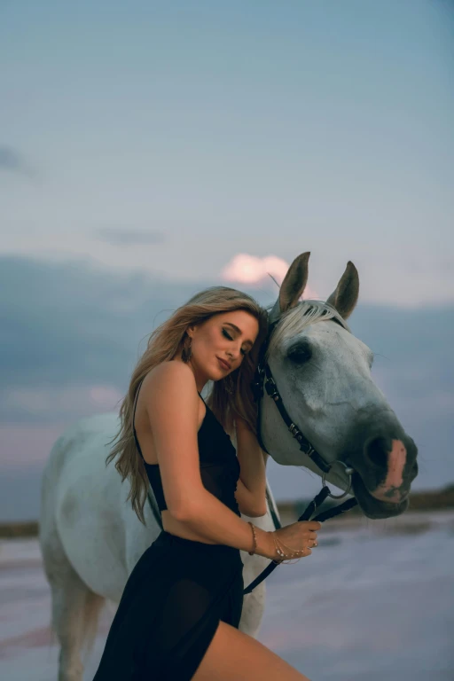 Horseback Riding Tour