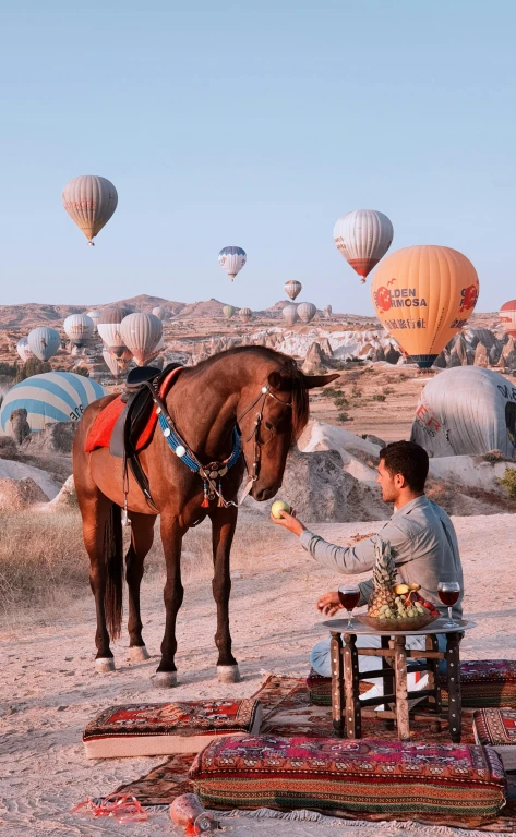 Horseback Riding Tour