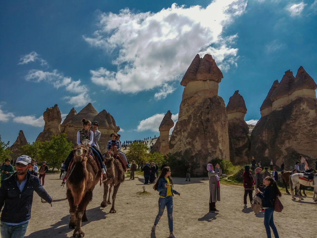 Camel Riding Tour