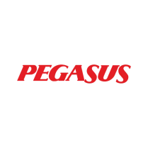 Pegasus