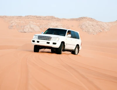 Safari Tours