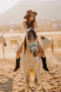 风景优美的骑马冒险，适合所有水平