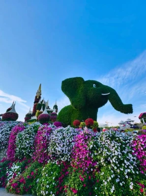 1 Günlük Dubai Şehir Turu