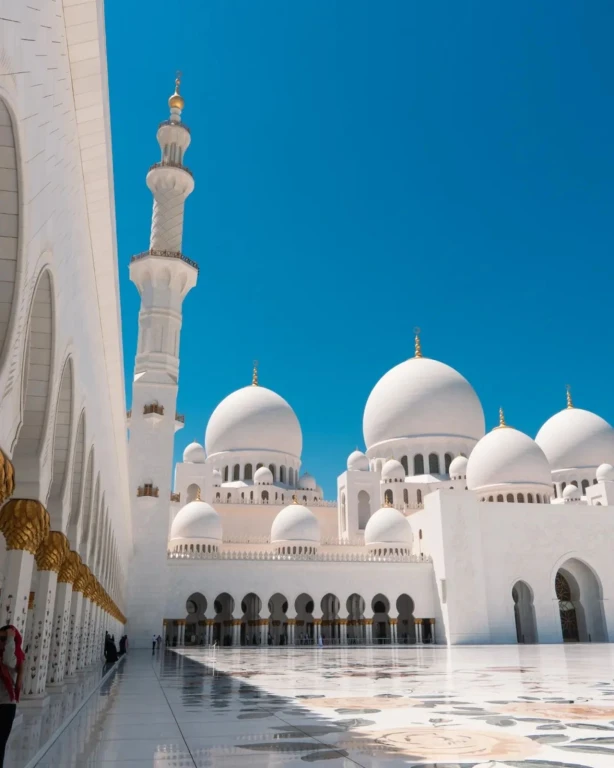 1 Günlük Abudhabi Şehir Turu