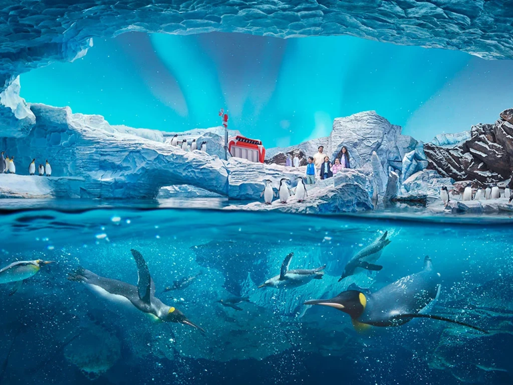 Yas Seaworld Theme Park