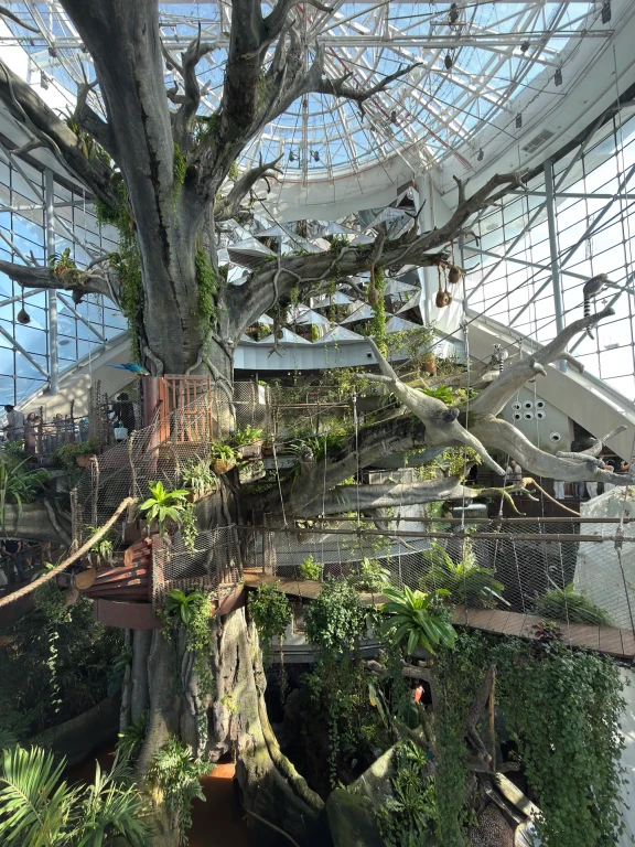 The Green Planet Indoor Rainforest Dubai