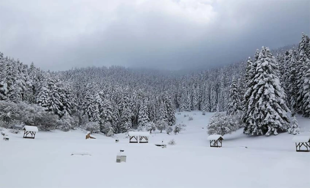 KIŞ RÜYASI ABANT, GÖLCÜK TURU