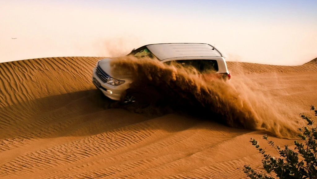 جولة سفاري في الصحراء - صباحاً