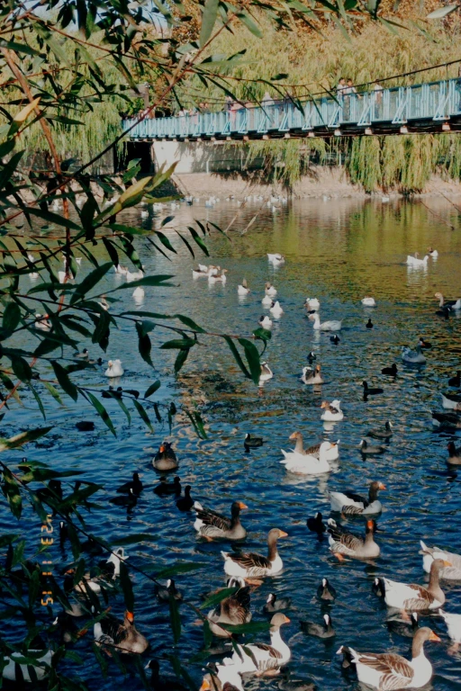 Cappadocia: Kırmızı Tur