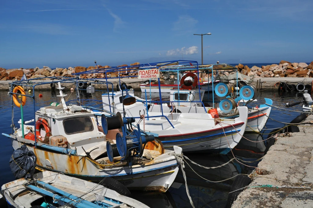 नववर्ष विशेष साकिज द्वीप अनलिमिटेड शराबी गाला डिनर शामिल पर्यटन कार्यक्रम