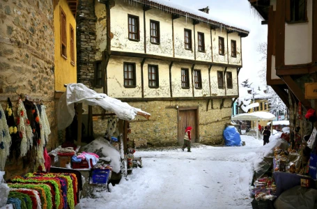 Günübirlik Cumalıkızık Uludağ Turu