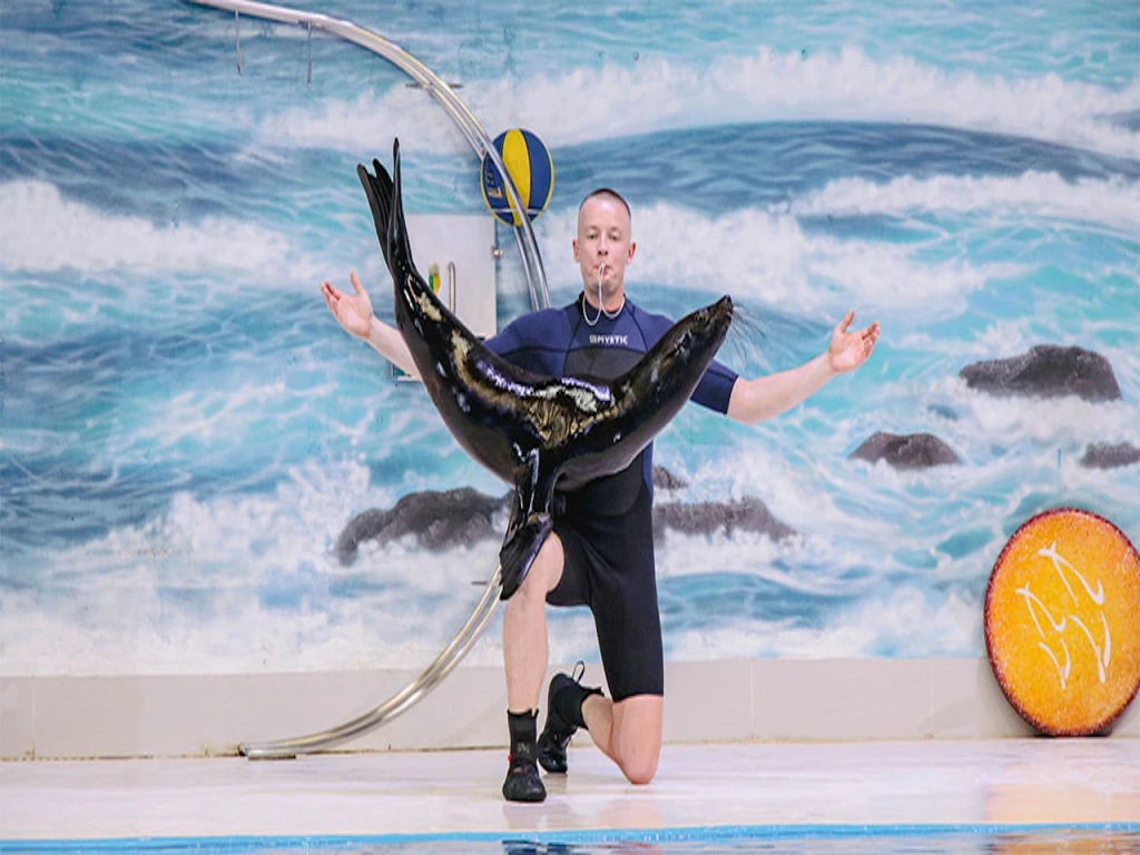 دولفيناريوم دبي (تذكرة عادية)