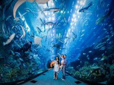Dubai Aquarium Zoo – Basic