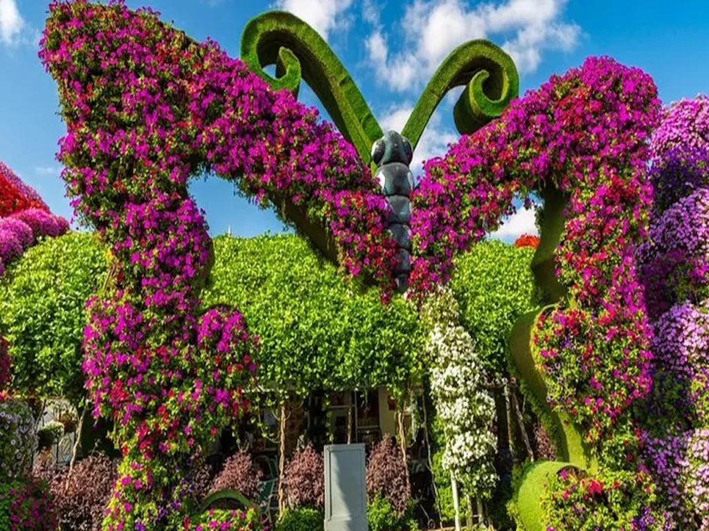 Dubai Butterfly Garden