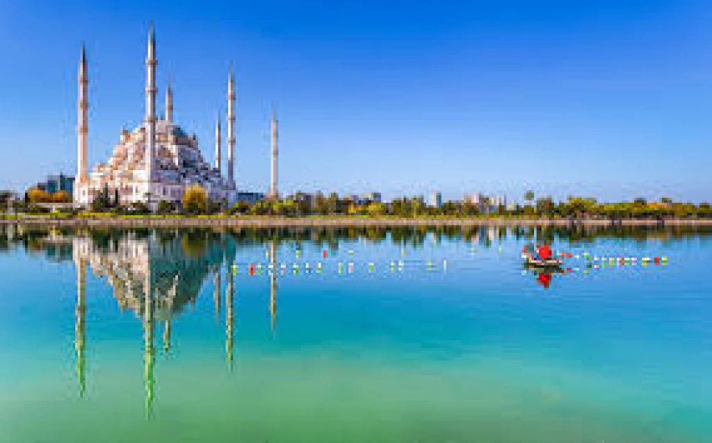 हवाईअड्डे पर आदना संतरे के फूल महोत्सव