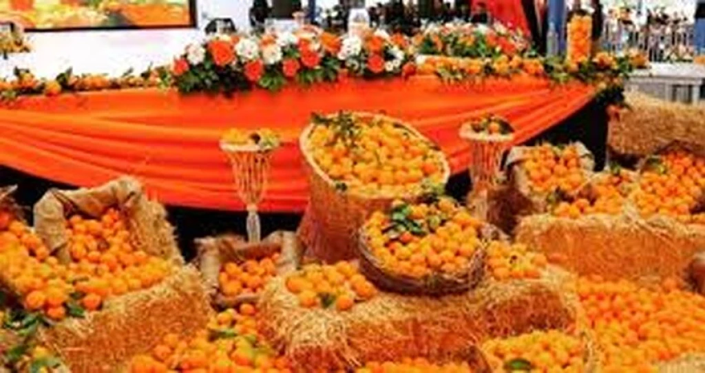 हवाईअड्डे पर आदना संतरे के फूल महोत्सव