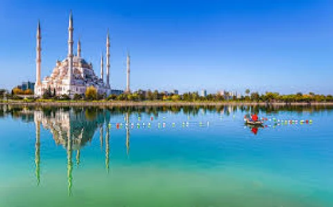 हवाईअड्डे पर आदना संतरे के फूल महोत्सव