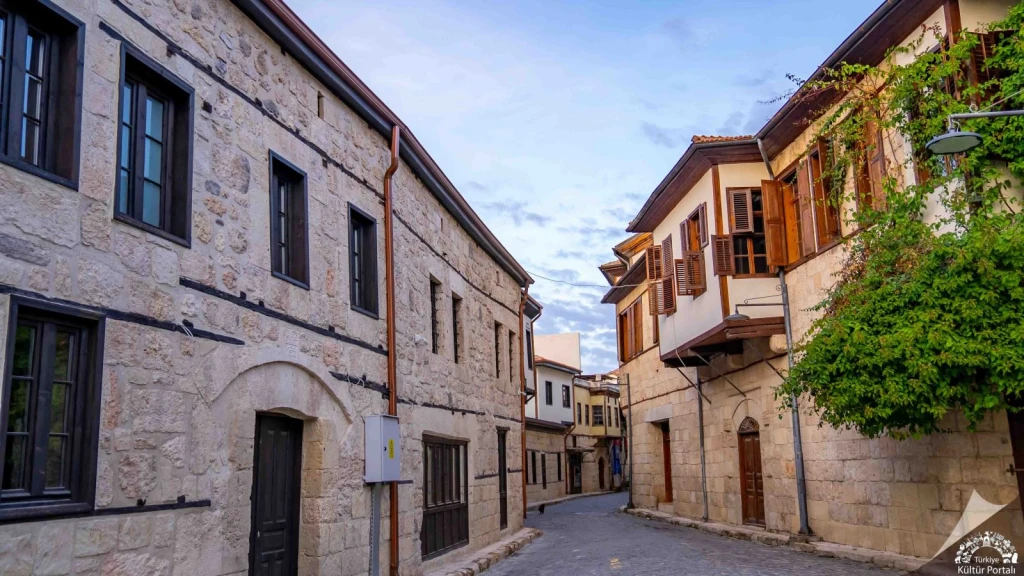 हवाईअड्डे पर आदना संतरे के फूल महोत्सव