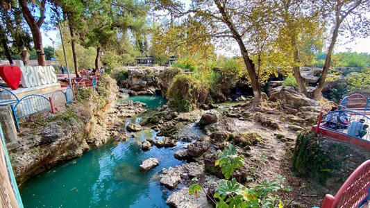 हवाईअड्डे पर आदना संतरे के फूल महोत्सव