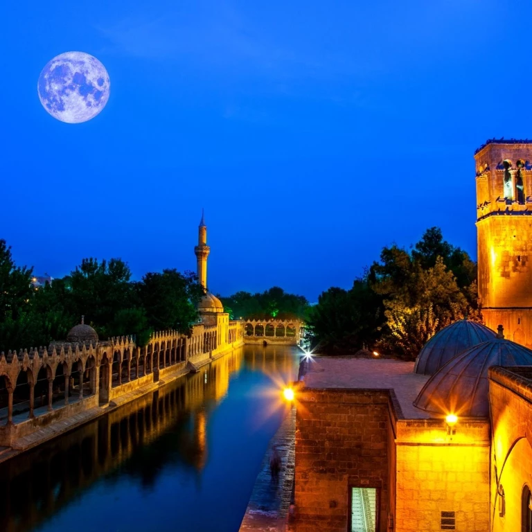 लक्ज़री गैप टूर्स (बस से)